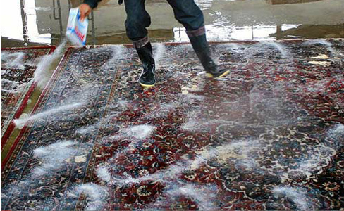 lavaggio tappeti yasminn carpet